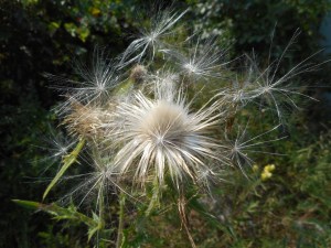 where does the time go....