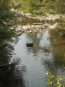 seeking solitude a flat rock mid stream in a pool below the falls
