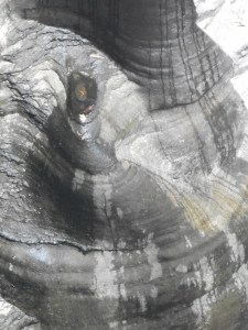 our turn to stand here falls overlook