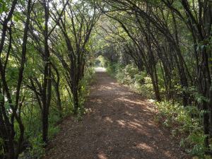 the beauty of getting out away from it all...  