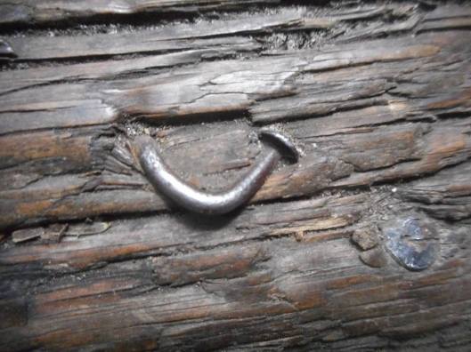 On the threshold beam of the lean-to where Casey and I stayed overnight on Grizzle's Ocean in the Adirondacks there was this bent over nail from way back when... now years later there is a well worn smooth