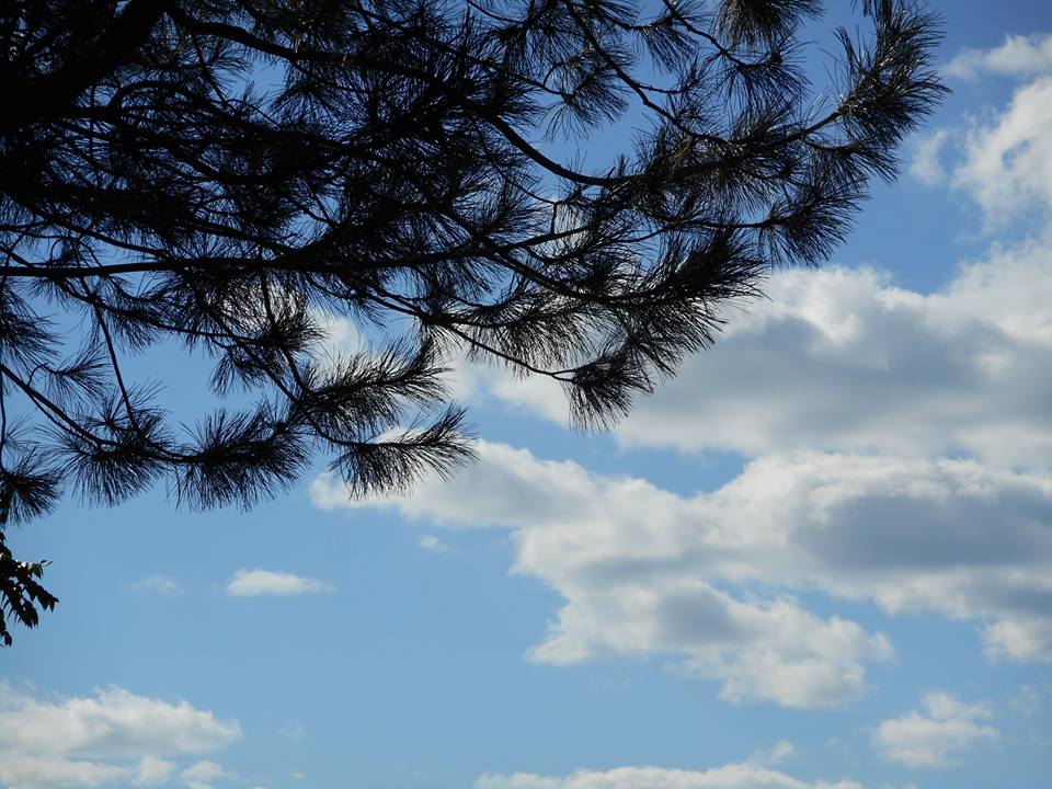 back-home-the-refreshing-journey-to-get-here