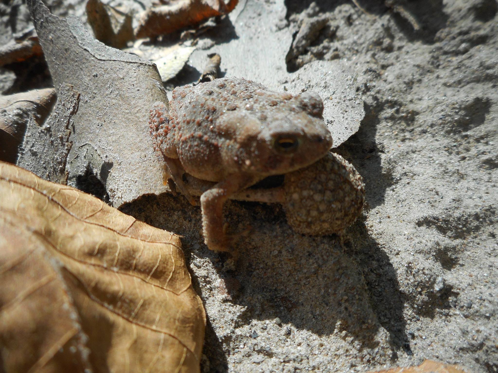 hop-by-hop-to-know-a-local-place-in-our-universe