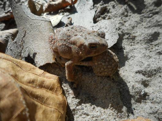 hop-by-hop-to-know-a-local-place-in-our-universe