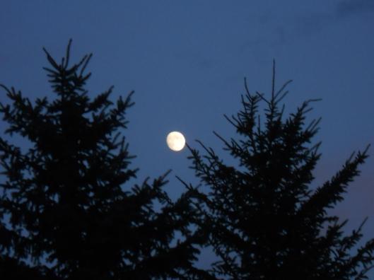 moon-tonight-not-quite-full-on-my-bike-road-home-from-work-awhile-ago-9-27-12