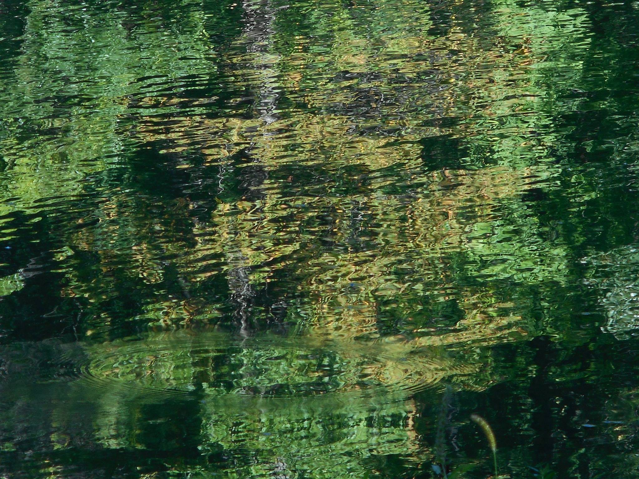 once-upon-a-time-on-grandmas-front-porch-the-world