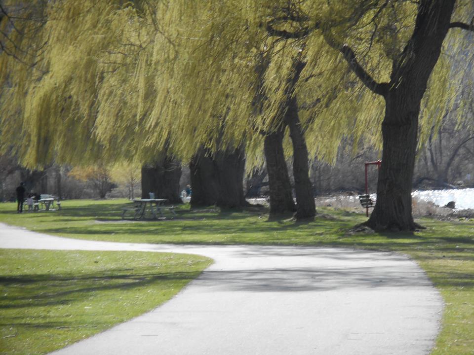 stewart-park-to-walk-about-and-enjoy-the-nice-day-here-is-a-view-from-the-water-front-trail-4-29-15