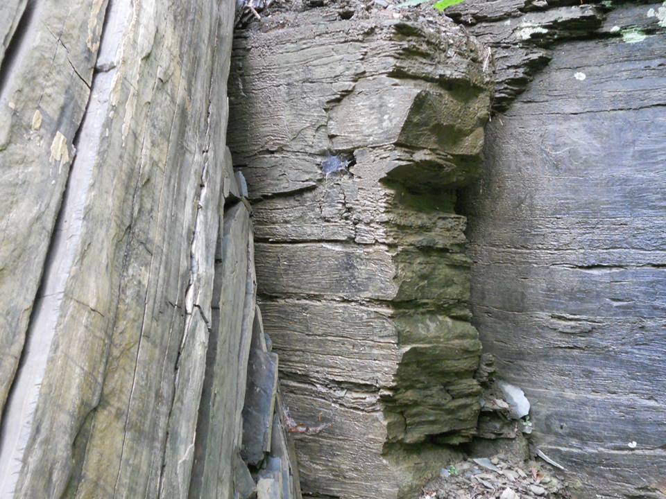 Stone study... a large slab that had fallen from the wall it was part of...