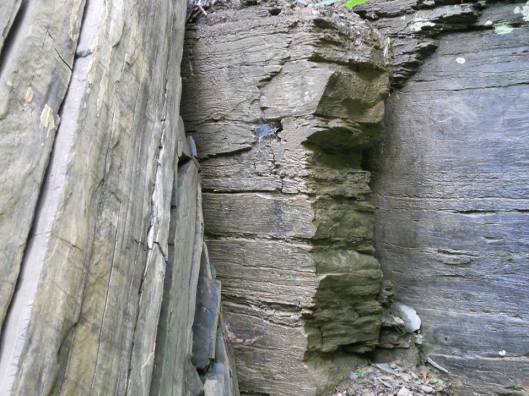 Stone study... a large slab that had fallen from the wall it was part of...