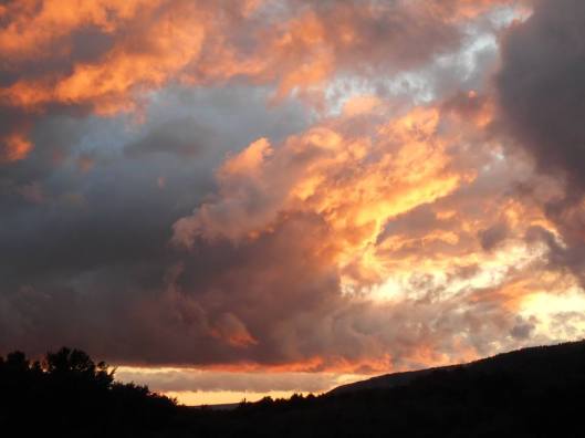 we-had-a-good-day-in-albany-although-it-was-mostly-a-rainy-day-there-the-drive-home-had-some-very-dramatic-fiery-skies-where-the-setting-sun-was-breaking-through-some-stormy-clouds