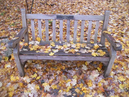 bench behind Mann Library yesterday 10-24-12.jpg