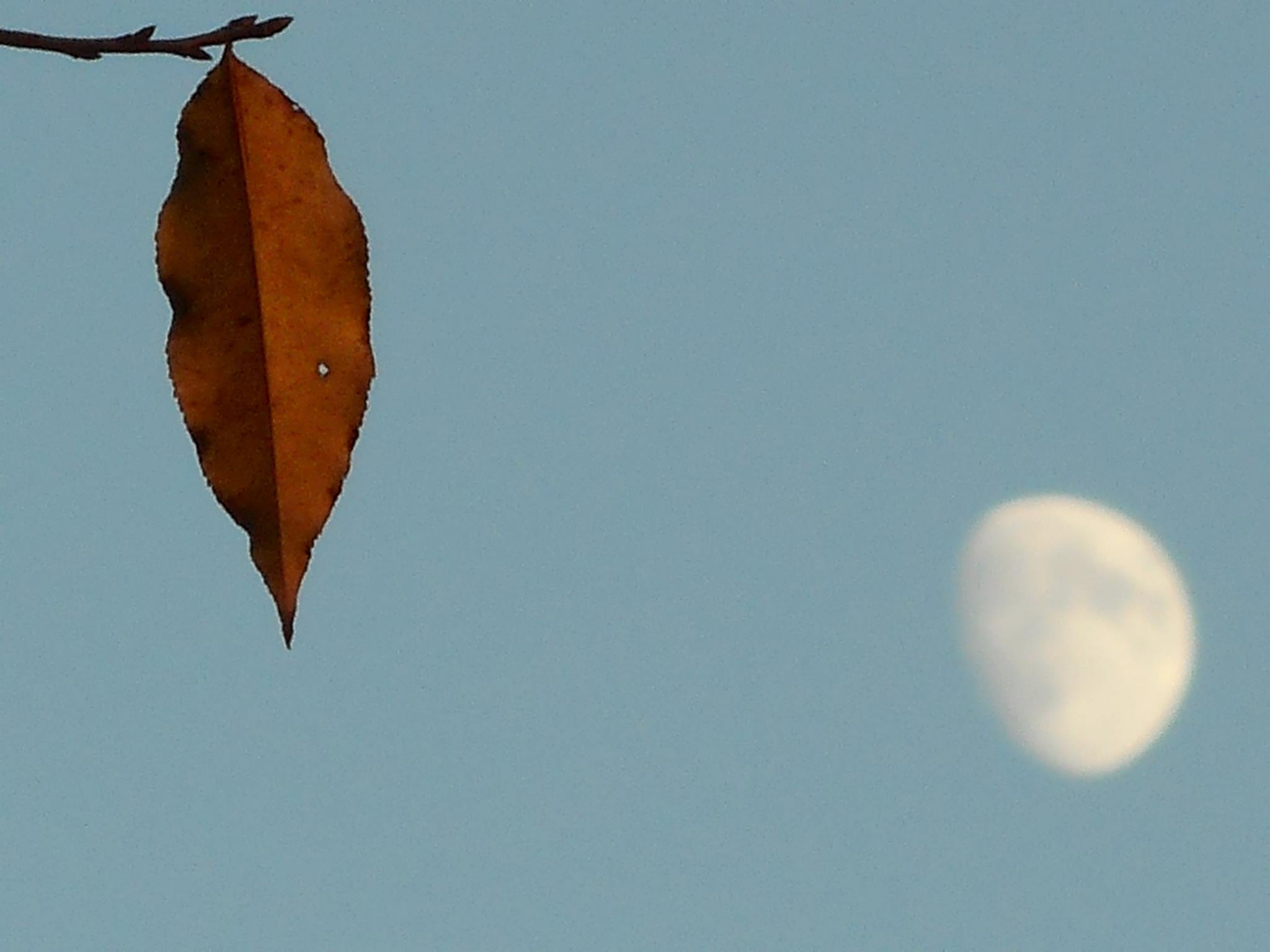 my-youth-spent-gathering-the-strength-and-solace-of-friends-these-short-years-later-losing-them-one-by-one