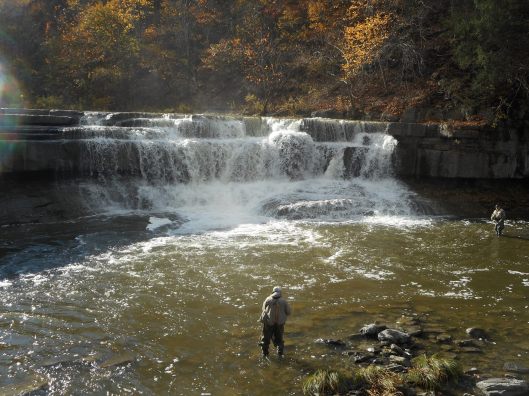 the day's catch... just below the falls a fisherman.jpg