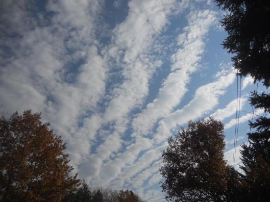 today-from-out-in-front-of-the-house-as-i-was-raking-leaves-the-view-above