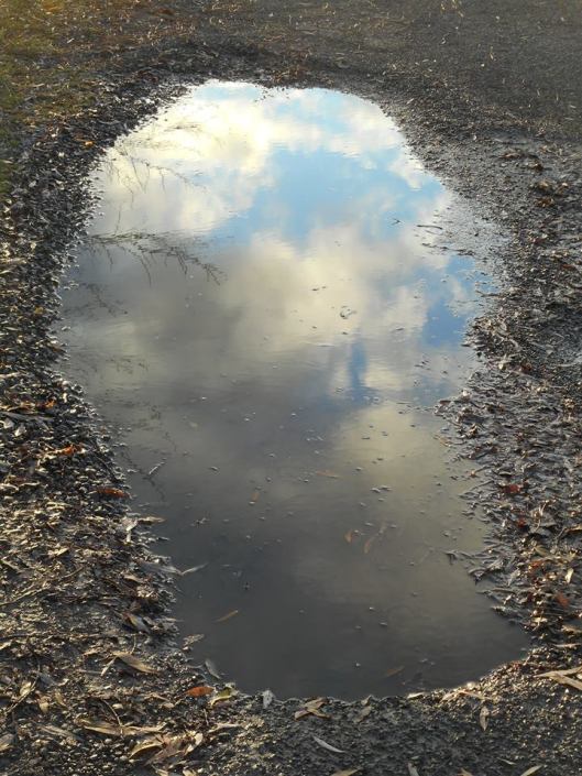 mirror-mirror-on-the-ground-whos-the-fairest-puddle-around