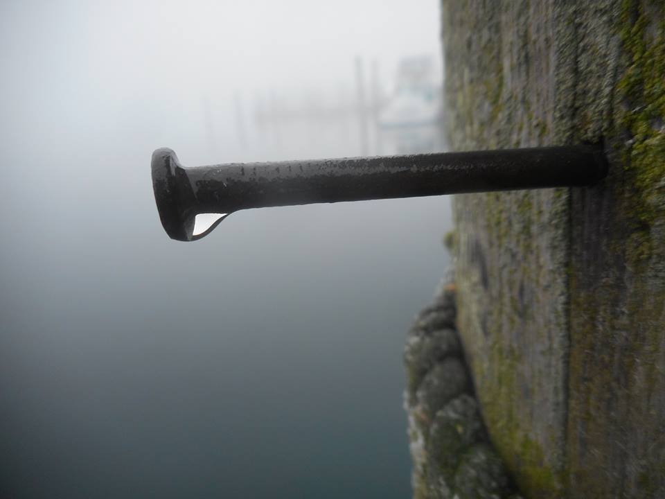 rundown-docks-minnows-schooling-around-the-old-trawler