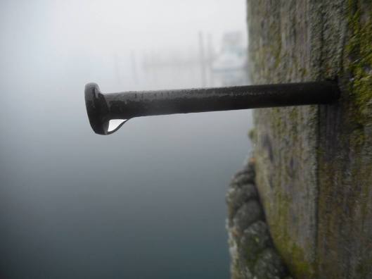 rundown-docks-minnows-schooling-around-the-old-trawler