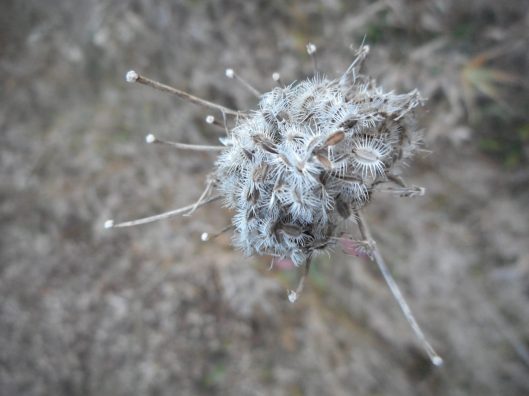 the-universe-of-my-thoughts-contracting