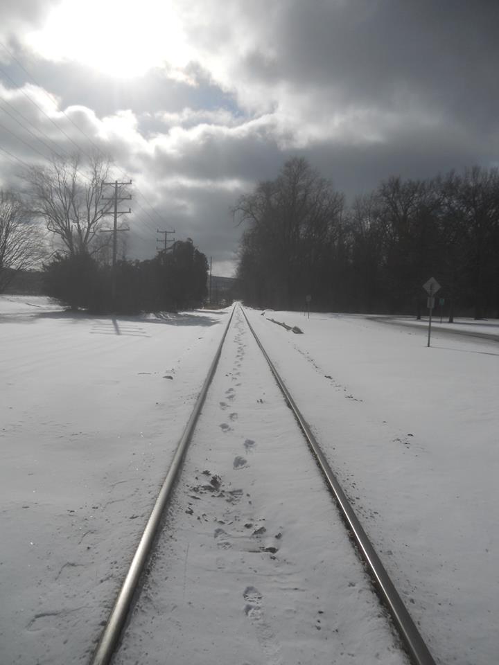 walking-the-tracks-my-thoughts-go-nowhere-stewart-park-1-22-14-below-zero