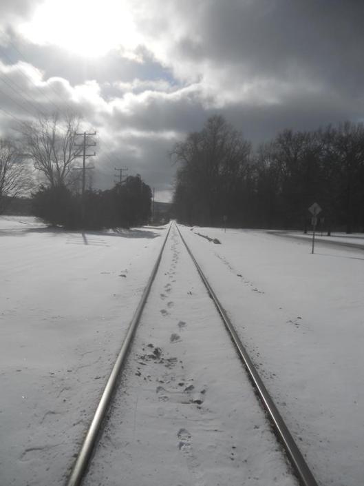 walking-the-tracks-my-thoughts-go-nowhere-stewart-park-1-22-14-below-zero