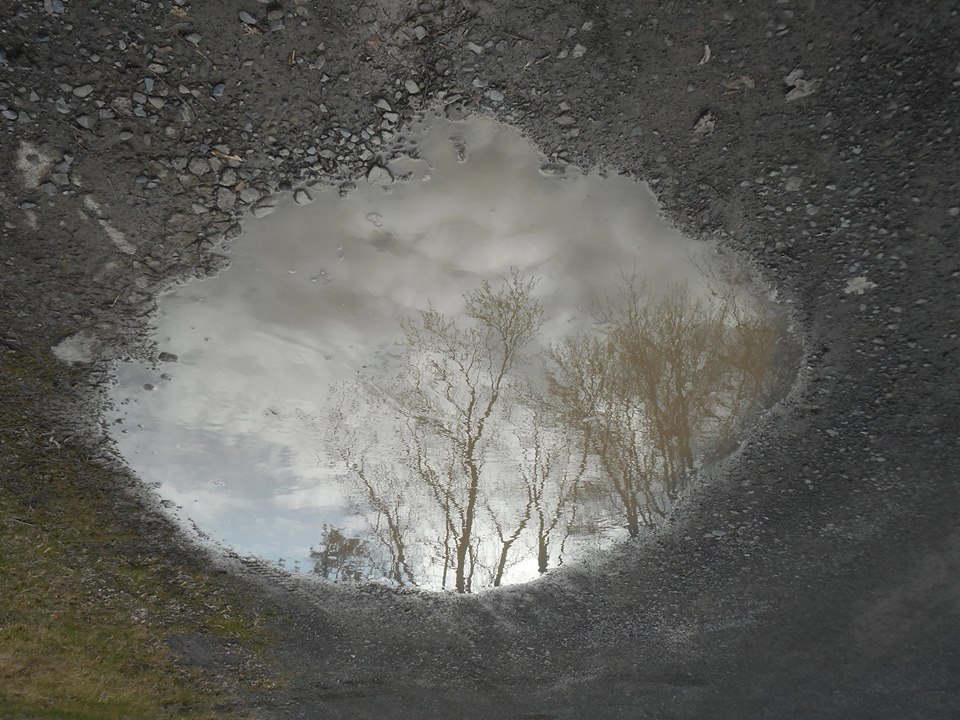 a looking glass portal from one world to the next... 3-20-16