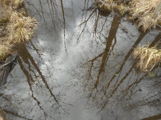 walking into dream time with a certain love to be alive...4-10-16