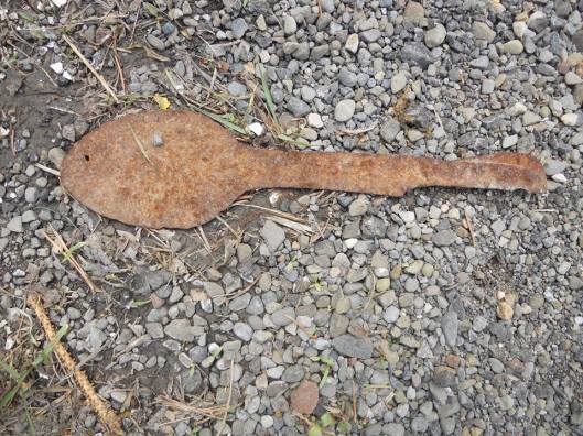 On the roadside where I stopped to take the photos of the blaze of little blue flowers was this still visible form of a spoon , well past its day as a spoon, yet retaining that familiar