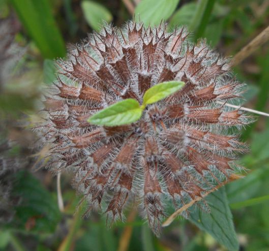 cloudy coolness-overhead and all around me