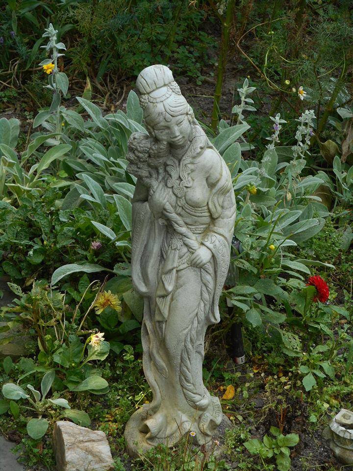 late summer- the time between visits