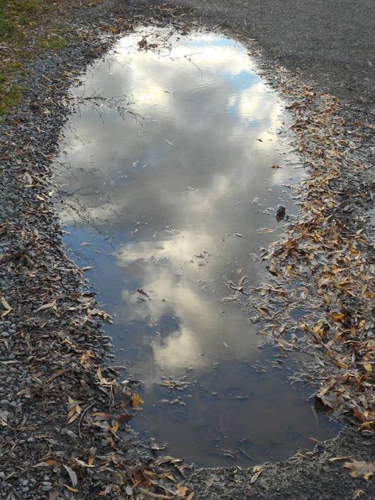clouds in a puddle in a neighbor's driveway...