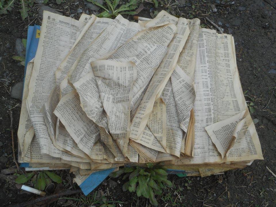 a phone book pages flipping in the wind...4-9-14