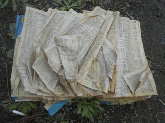 a phone book pages flipping in the wind...4-9-14