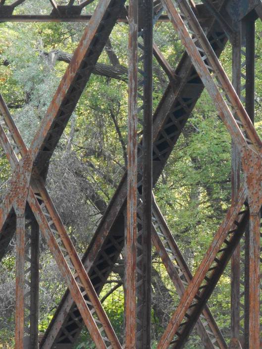 another autumn....jpg