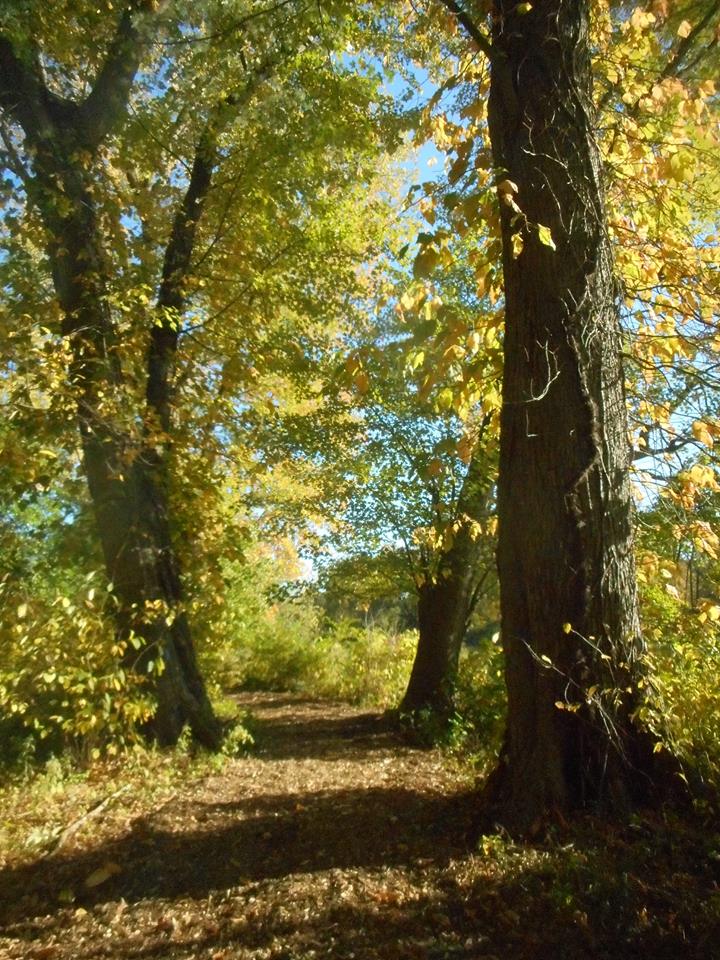 autumn colors today.