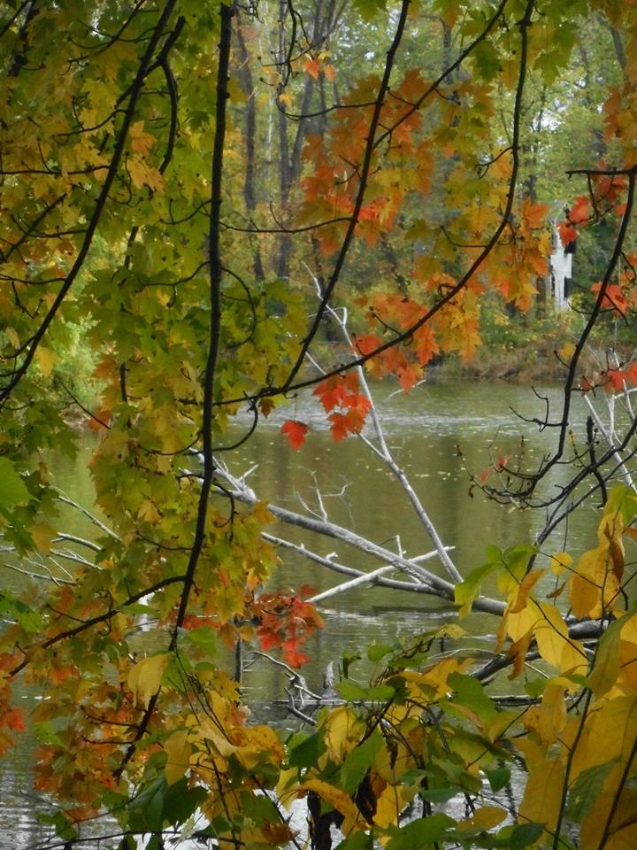 Stewart Park path through the woods along Fall Creek. 10-13-17